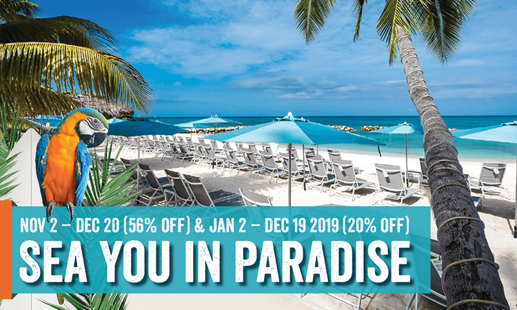 sea-you-in-paradise-2018 sea-you-in-paradise-2018
